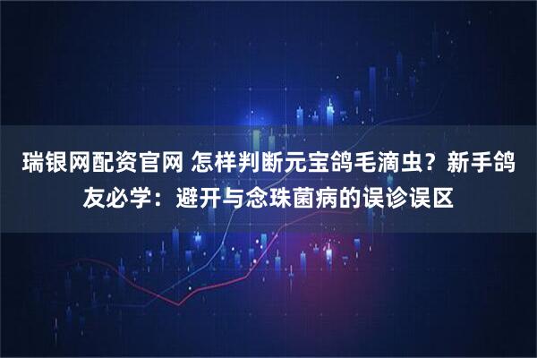 瑞银网配资官网 怎样判断元宝鸽毛滴虫？新手鸽友必学：避开与念珠菌病的误诊误区