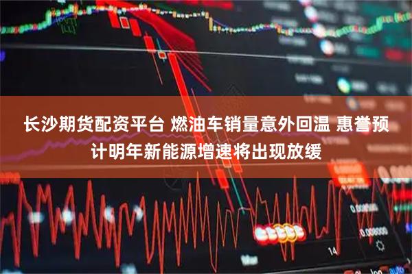 长沙期货配资平台 燃油车销量意外回温 惠誉预计明年新能源增速将出现放缓